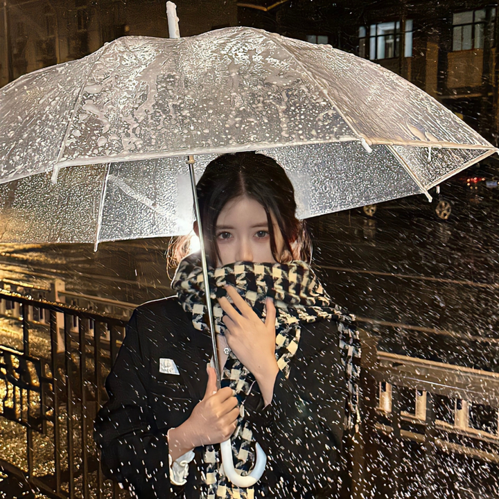 疯狂约会美丽都