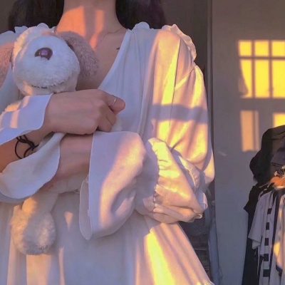 卧底费瑞的故事